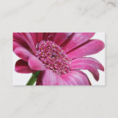 Pink Gerbera Daisy Visitekaartje (Achterkant)