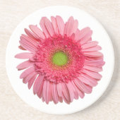 Pink Gerbera Daisy Zandsteen Onderzetter (Voorkant)