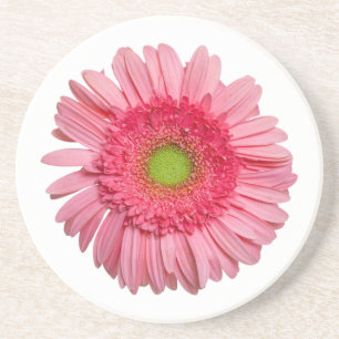 Pink Gerbera Daisy Zandsteen Onderzetter