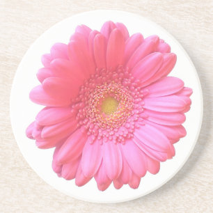 Pink gerbera daisy zandsteen onderzetter