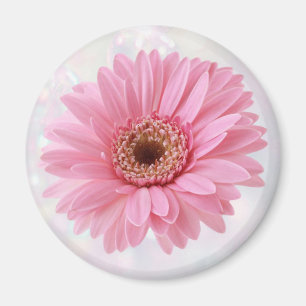 Pink Gerbera fridge Magnet