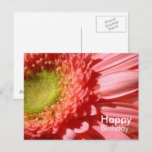 Pink Gerbera - Gelukkige Verjaardag Briefkaart (Voorkant / Achterkant)