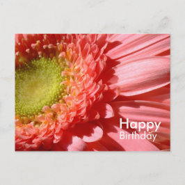 Pink Gerbera - Gelukkige Verjaardag Briefkaart