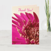 Pink Gerbera Kaart (Voorkant)