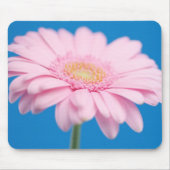 Pink Gerbera Mousepad Muismat (Voorkant)