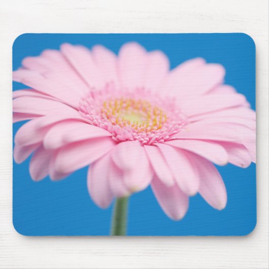 Pink Gerbera Mousepad Muismat (Voorkant)