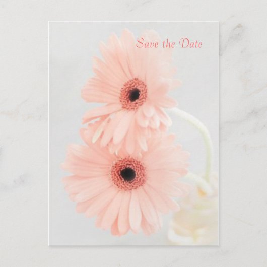 Pink Gerbera Save the Date aangekondigd Briefkaart (Voorkant)