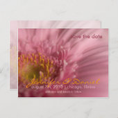 Pink Gerbera · Save the Date Briefkaart (Voorkant / Achterkant)