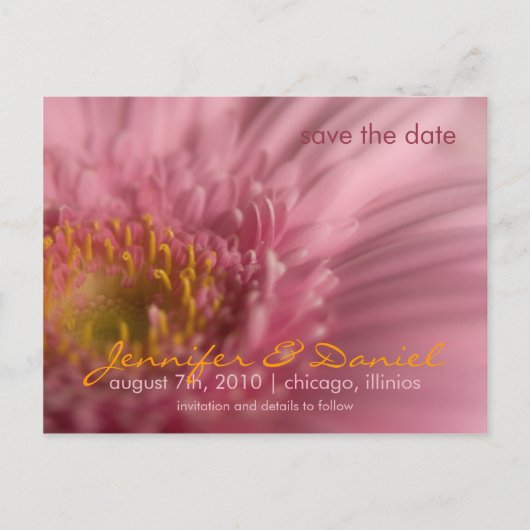 Pink Gerbera · Save the Date Briefkaart (Voorkant)