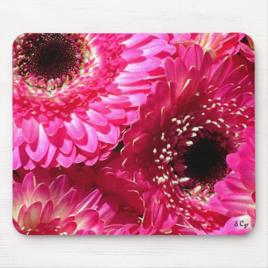 Pink Gerberas Muismat (Voorkant)