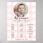 Pink Gingham eerste verjaardag mijlpaal tijdlijn Poster (Voorkant)