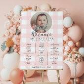 Pink Gingham eerste verjaardag mijlpaal tijdlijn Poster