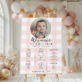 Pink Gingham eerste verjaardag mijlpaal tijdlijn Poster