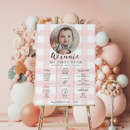 Pink Gingham eerste verjaardag mijlpaal tijdlijn Poster
