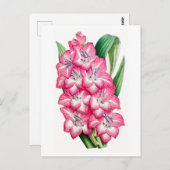 Pink Gladiolus Vintage Botanical Postcard Briefkaart (Voorkant / Achterkant)