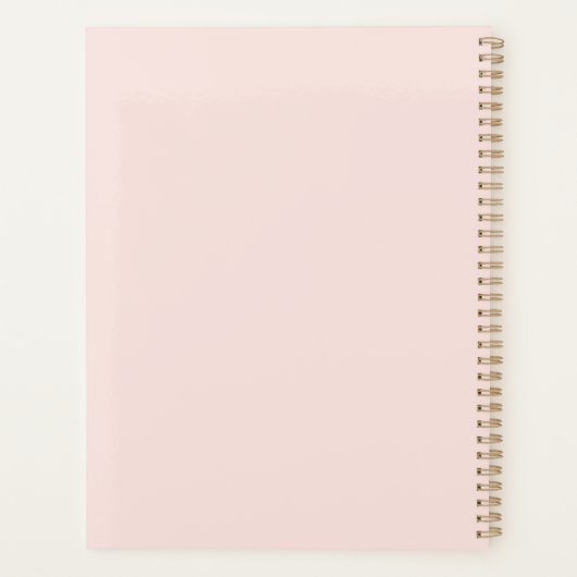 Pink Gold Mis Quince Anos Planner (Achterkant)