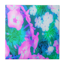 Pink, Green, Blue en White Garden Phlox Flowers