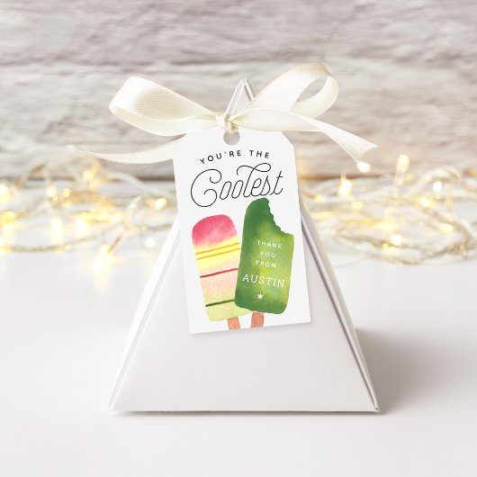 Pink Green Popsicle Birthday Party Dank je wel Cadeaulabel