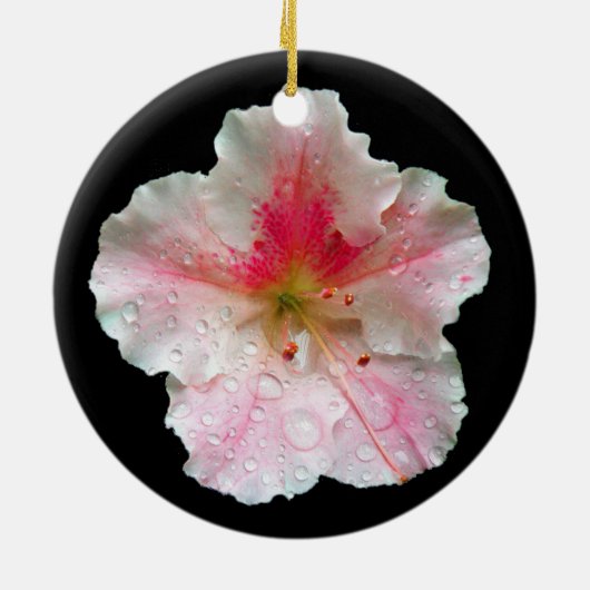 "Pink Gumpo Azalea" Keramisch Ornament (Achterkant)