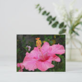 Pink Hawaii Hibiscus Briefkaart (Staand voorkant)