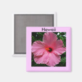 Pink Hawaiian Hibiscus Magnet (Voorkant / Achterkant)