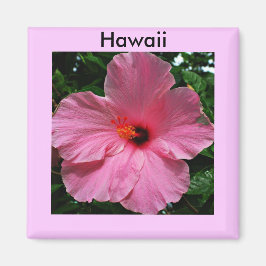Pink Hawaiian Hibiscus Magnet