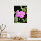 Pink Hawaiian Plumeria Poster (Keuken)