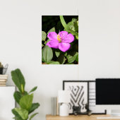 Pink Hawaiian Plumeria Poster (Thuiskantoor)