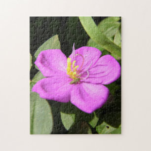 Pink Hawaiian Plumeria Poster Faux Canvas Afdrukke Legpuzzel