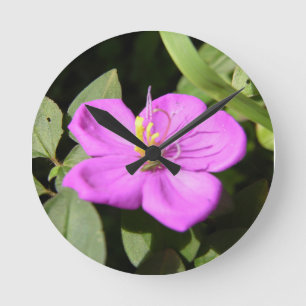 Pink Hawaiian Plumeria Poster Faux Canvas Afdrukke Ronde Klok
