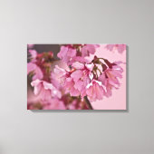 "Pink Haze" Poster Japanse Cherry Blossom Canvas Afdruk (Voorkant)