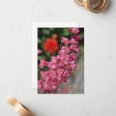 Pink Heuchera Notitiekaartje (Voorkant / Achterkant in situ)