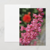 Pink Heuchera Notitiekaartje (Voorkant / Achterkant)
