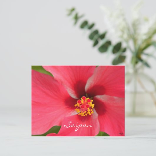 Pink Hibiscus Center Briefkaart (Staand voorkant)