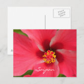 Pink Hibiscus Center Briefkaart (Voorkant / Achterkant)