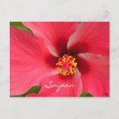 Pink Hibiscus Center Briefkaart (Voorkant)