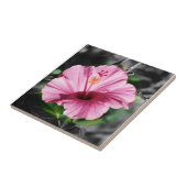 Pink Hibiscus Foto Tegeltje (Zijkant)