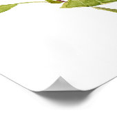 pink hibiscus moscheutos, swamp rose mallow poster (Hoek)