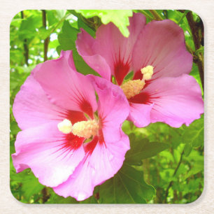 Pink Hibiscus Paper Coaster Kartonnen Onderzetters