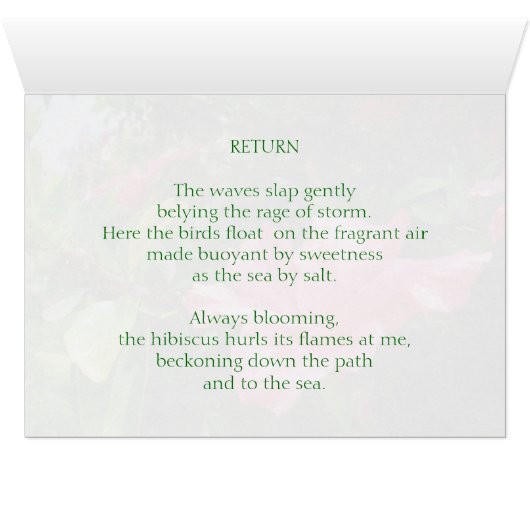 Pink Hibiscus Queen (Binenzijde Horizontaal (Onderkant))