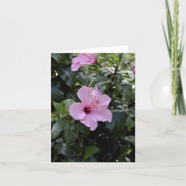 Pink Hibiscus Shadow Fairy Feestdagen Kaart