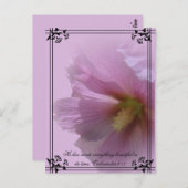 Pink Hollyhock Briefkaart (Voorkant / Achterkant)