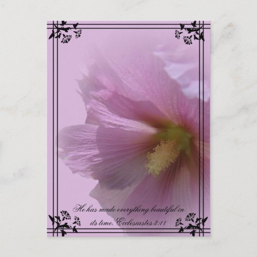 Pink Hollyhock Briefkaart (Voorkant)
