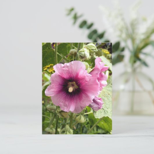 PINK HOLLYHOCK BRIEFKAART (Staand voorkant)