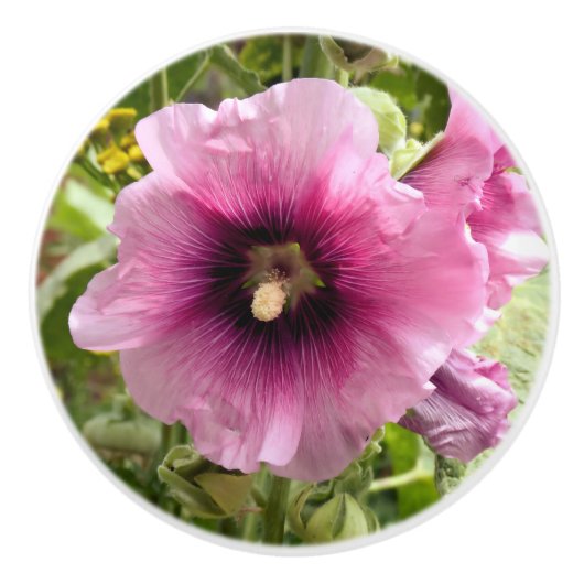 PINK HOLLYHOCK FLOWER KERAMISCHE KNOP (Voorkant)