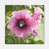 PINK HOLLYHOCK MAGNEET (Voorkant)