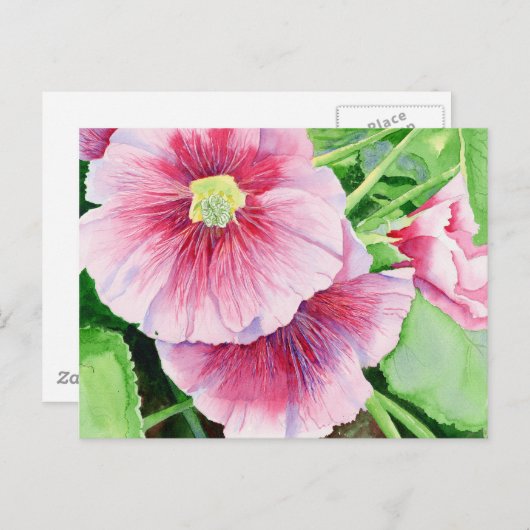 Pink Hollyhocks Briefkaart (Voorkant / Achterkant)