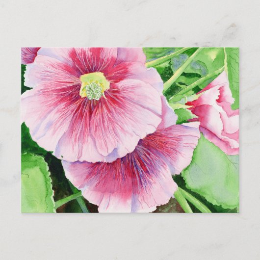 Pink Hollyhocks Briefkaart (Voorkant)