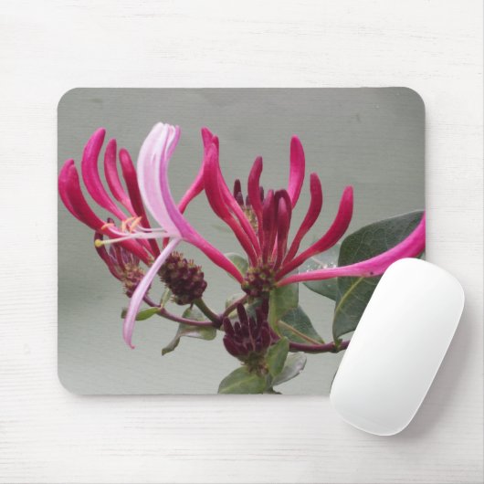 Pink Honeysuckle Flower Mousepad Muismat (Met muis)