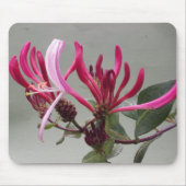 Pink Honeysuckle Flower Mousepad Muismat (Voorkant)